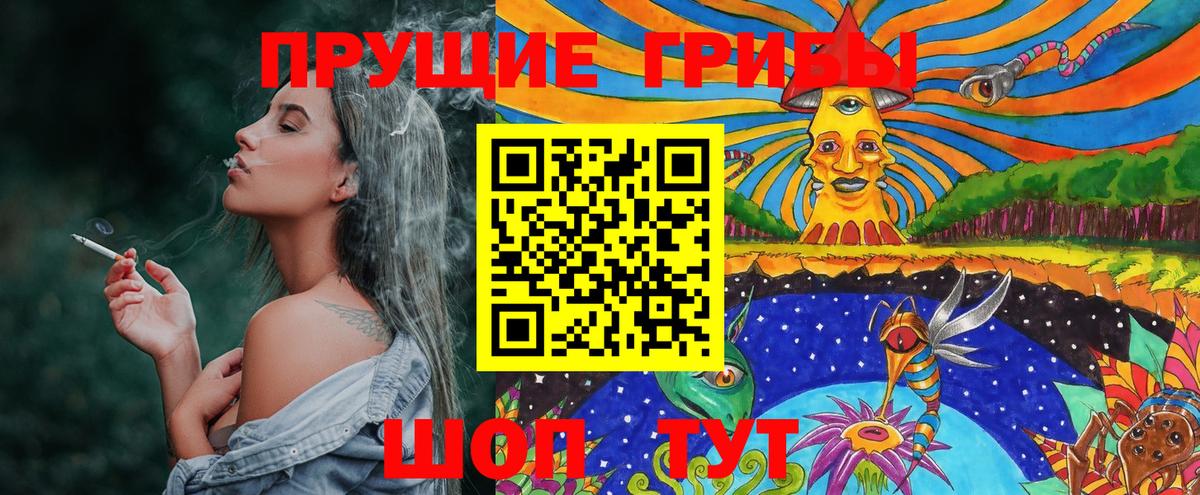 Галлюциногенные грибы Psilocybe Ухта